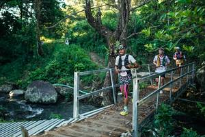 BIB: 
                            <button type="button" onclick="openModal(26621354)" class="btn btn-primary btn-sm float-right btn-popup" data-toggle="modal" data-target=".modal-high-quality">
                        <i class="fas fa-shopping-cart"></i> Add to Cart
                    </button>
                                            <button type="button" onclick="isThisMe(26621354, true)" class="btn btn-success btn-sm float-right btn-popup btn-isme hidden" data-toggle="tooltip" data-placement="bottom" title="นี่คือรูปของคุณใช่ไหม คลิกที่นี่เพื่อเอาเข้าอัลบั้ม">
                        <i class="fas fa-plus"></i> Add to album
                    </button>
                    <button type="button" onclick="isThisMe(26621354, false)" class="btn btn-warning btn-sm float-right btn-popup btn-isnotme hidden">
                        <i class="fas fa-ban"></i> Remove from album
                    </button>