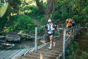 BIB: 
                            <button type="button" onclick="openModal(26670265)" class="btn btn-primary btn-sm float-right btn-popup" data-toggle="modal" data-target=".modal-high-quality">
                        <i class="fas fa-shopping-cart"></i> Add to Cart
                    </button>
                                            <button type="button" onclick="isThisMe(26670265, true)" class="btn btn-success btn-sm float-right btn-popup btn-isme hidden" data-toggle="tooltip" data-placement="bottom" title="นี่คือรูปของคุณใช่ไหม คลิกที่นี่เพื่อเอาเข้าอัลบั้ม">
                        <i class="fas fa-plus"></i> Add to album
                    </button>
                    <button type="button" onclick="isThisMe(26670265, false)" class="btn btn-warning btn-sm float-right btn-popup btn-isnotme hidden">
                        <i class="fas fa-ban"></i> Remove from album
                    </button>