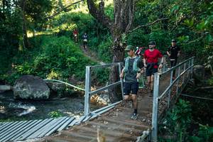 BIB: 
                            <button type="button" onclick="openModal(26661763)" class="btn btn-primary btn-sm float-right btn-popup" data-toggle="modal" data-target=".modal-high-quality">
                        <i class="fas fa-shopping-cart"></i> Add to Cart
                    </button>
                                            <button type="button" onclick="isThisMe(26661763, true)" class="btn btn-success btn-sm float-right btn-popup btn-isme hidden" data-toggle="tooltip" data-placement="bottom" title="นี่คือรูปของคุณใช่ไหม คลิกที่นี่เพื่อเอาเข้าอัลบั้ม">
                        <i class="fas fa-plus"></i> Add to album
                    </button>
                    <button type="button" onclick="isThisMe(26661763, false)" class="btn btn-warning btn-sm float-right btn-popup btn-isnotme hidden">
                        <i class="fas fa-ban"></i> Remove from album
                    </button>