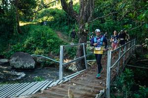 BIB: 
                            <button type="button" onclick="openModal(26657385)" class="btn btn-primary btn-sm float-right btn-popup" data-toggle="modal" data-target=".modal-high-quality">
                        <i class="fas fa-shopping-cart"></i> Add to Cart
                    </button>
                                            <button type="button" onclick="isThisMe(26657385, true)" class="btn btn-success btn-sm float-right btn-popup btn-isme hidden" data-toggle="tooltip" data-placement="bottom" title="นี่คือรูปของคุณใช่ไหม คลิกที่นี่เพื่อเอาเข้าอัลบั้ม">
                        <i class="fas fa-plus"></i> Add to album
                    </button>
                    <button type="button" onclick="isThisMe(26657385, false)" class="btn btn-warning btn-sm float-right btn-popup btn-isnotme hidden">
                        <i class="fas fa-ban"></i> Remove from album
                    </button>