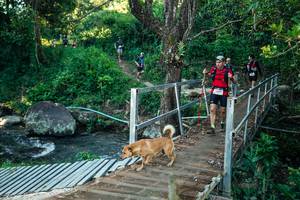 BIB: 
                            <button type="button" onclick="openModal(26634986)" class="btn btn-primary btn-sm float-right btn-popup" data-toggle="modal" data-target=".modal-high-quality">
                        <i class="fas fa-shopping-cart"></i> Add to Cart
                    </button>
                                            <button type="button" onclick="isThisMe(26634986, true)" class="btn btn-success btn-sm float-right btn-popup btn-isme hidden" data-toggle="tooltip" data-placement="bottom" title="นี่คือรูปของคุณใช่ไหม คลิกที่นี่เพื่อเอาเข้าอัลบั้ม">
                        <i class="fas fa-plus"></i> Add to album
                    </button>
                    <button type="button" onclick="isThisMe(26634986, false)" class="btn btn-warning btn-sm float-right btn-popup btn-isnotme hidden">
                        <i class="fas fa-ban"></i> Remove from album
                    </button>