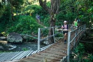 BIB: 
                            <button type="button" onclick="openModal(26645388)" class="btn btn-primary btn-sm float-right btn-popup" data-toggle="modal" data-target=".modal-high-quality">
                        <i class="fas fa-shopping-cart"></i> Add to Cart
                    </button>
                                            <button type="button" onclick="isThisMe(26645388, true)" class="btn btn-success btn-sm float-right btn-popup btn-isme hidden" data-toggle="tooltip" data-placement="bottom" title="นี่คือรูปของคุณใช่ไหม คลิกที่นี่เพื่อเอาเข้าอัลบั้ม">
                        <i class="fas fa-plus"></i> Add to album
                    </button>
                    <button type="button" onclick="isThisMe(26645388, false)" class="btn btn-warning btn-sm float-right btn-popup btn-isnotme hidden">
                        <i class="fas fa-ban"></i> Remove from album
                    </button>