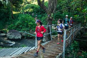 BIB: 
                            <button type="button" onclick="openModal(26641153)" class="btn btn-primary btn-sm float-right btn-popup" data-toggle="modal" data-target=".modal-high-quality">
                        <i class="fas fa-shopping-cart"></i> Add to Cart
                    </button>
                                            <button type="button" onclick="isThisMe(26641153, true)" class="btn btn-success btn-sm float-right btn-popup btn-isme hidden" data-toggle="tooltip" data-placement="bottom" title="นี่คือรูปของคุณใช่ไหม คลิกที่นี่เพื่อเอาเข้าอัลบั้ม">
                        <i class="fas fa-plus"></i> Add to album
                    </button>
                    <button type="button" onclick="isThisMe(26641153, false)" class="btn btn-warning btn-sm float-right btn-popup btn-isnotme hidden">
                        <i class="fas fa-ban"></i> Remove from album
                    </button>