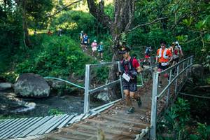 BIB: 
                            <button type="button" onclick="openModal(26639910)" class="btn btn-primary btn-sm float-right btn-popup" data-toggle="modal" data-target=".modal-high-quality">
                        <i class="fas fa-shopping-cart"></i> Add to Cart
                    </button>
                                            <button type="button" onclick="isThisMe(26639910, true)" class="btn btn-success btn-sm float-right btn-popup btn-isme hidden" data-toggle="tooltip" data-placement="bottom" title="นี่คือรูปของคุณใช่ไหม คลิกที่นี่เพื่อเอาเข้าอัลบั้ม">
                        <i class="fas fa-plus"></i> Add to album
                    </button>
                    <button type="button" onclick="isThisMe(26639910, false)" class="btn btn-warning btn-sm float-right btn-popup btn-isnotme hidden">
                        <i class="fas fa-ban"></i> Remove from album
                    </button>