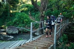 BIB: 
                            <button type="button" onclick="openModal(26643583)" class="btn btn-primary btn-sm float-right btn-popup" data-toggle="modal" data-target=".modal-high-quality">
                        <i class="fas fa-shopping-cart"></i> Add to Cart
                    </button>
                                            <button type="button" onclick="isThisMe(26643583, true)" class="btn btn-success btn-sm float-right btn-popup btn-isme hidden" data-toggle="tooltip" data-placement="bottom" title="นี่คือรูปของคุณใช่ไหม คลิกที่นี่เพื่อเอาเข้าอัลบั้ม">
                        <i class="fas fa-plus"></i> Add to album
                    </button>
                    <button type="button" onclick="isThisMe(26643583, false)" class="btn btn-warning btn-sm float-right btn-popup btn-isnotme hidden">
                        <i class="fas fa-ban"></i> Remove from album
                    </button>