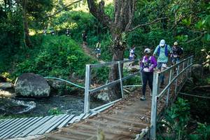 BIB: 
                            <button type="button" onclick="openModal(26649149)" class="btn btn-primary btn-sm float-right btn-popup" data-toggle="modal" data-target=".modal-high-quality">
                        <i class="fas fa-shopping-cart"></i> Add to Cart
                    </button>
                                            <button type="button" onclick="isThisMe(26649149, true)" class="btn btn-success btn-sm float-right btn-popup btn-isme hidden" data-toggle="tooltip" data-placement="bottom" title="นี่คือรูปของคุณใช่ไหม คลิกที่นี่เพื่อเอาเข้าอัลบั้ม">
                        <i class="fas fa-plus"></i> Add to album
                    </button>
                    <button type="button" onclick="isThisMe(26649149, false)" class="btn btn-warning btn-sm float-right btn-popup btn-isnotme hidden">
                        <i class="fas fa-ban"></i> Remove from album
                    </button>