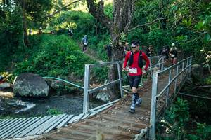 BIB: 
                            <button type="button" onclick="openModal(26647047)" class="btn btn-primary btn-sm float-right btn-popup" data-toggle="modal" data-target=".modal-high-quality">
                        <i class="fas fa-shopping-cart"></i> Add to Cart
                    </button>
                                            <button type="button" onclick="isThisMe(26647047, true)" class="btn btn-success btn-sm float-right btn-popup btn-isme hidden" data-toggle="tooltip" data-placement="bottom" title="นี่คือรูปของคุณใช่ไหม คลิกที่นี่เพื่อเอาเข้าอัลบั้ม">
                        <i class="fas fa-plus"></i> Add to album
                    </button>
                    <button type="button" onclick="isThisMe(26647047, false)" class="btn btn-warning btn-sm float-right btn-popup btn-isnotme hidden">
                        <i class="fas fa-ban"></i> Remove from album
                    </button>