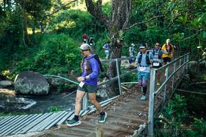 BIB: 
                            <button type="button" onclick="openModal(26645866)" class="btn btn-primary btn-sm float-right btn-popup" data-toggle="modal" data-target=".modal-high-quality">
                        <i class="fas fa-shopping-cart"></i> Add to Cart
                    </button>
                                            <button type="button" onclick="isThisMe(26645866, true)" class="btn btn-success btn-sm float-right btn-popup btn-isme hidden" data-toggle="tooltip" data-placement="bottom" title="นี่คือรูปของคุณใช่ไหม คลิกที่นี่เพื่อเอาเข้าอัลบั้ม">
                        <i class="fas fa-plus"></i> Add to album
                    </button>
                    <button type="button" onclick="isThisMe(26645866, false)" class="btn btn-warning btn-sm float-right btn-popup btn-isnotme hidden">
                        <i class="fas fa-ban"></i> Remove from album
                    </button>