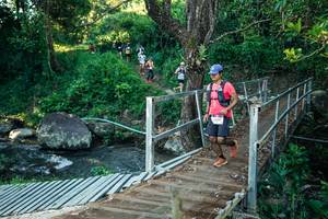 BIB: 
                            <button type="button" onclick="openModal(26634242)" class="btn btn-primary btn-sm float-right btn-popup" data-toggle="modal" data-target=".modal-high-quality">
                        <i class="fas fa-shopping-cart"></i> Add to Cart
                    </button>
                                            <button type="button" onclick="isThisMe(26634242, true)" class="btn btn-success btn-sm float-right btn-popup btn-isme hidden" data-toggle="tooltip" data-placement="bottom" title="นี่คือรูปของคุณใช่ไหม คลิกที่นี่เพื่อเอาเข้าอัลบั้ม">
                        <i class="fas fa-plus"></i> Add to album
                    </button>
                    <button type="button" onclick="isThisMe(26634242, false)" class="btn btn-warning btn-sm float-right btn-popup btn-isnotme hidden">
                        <i class="fas fa-ban"></i> Remove from album
                    </button>