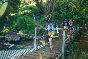 BIB: 
                            <button type="button" onclick="openModal(26670682)" class="btn btn-primary btn-sm float-right btn-popup" data-toggle="modal" data-target=".modal-high-quality">
                        <i class="fas fa-shopping-cart"></i> Add to Cart
                    </button>
                                            <button type="button" onclick="isThisMe(26670682, true)" class="btn btn-success btn-sm float-right btn-popup btn-isme hidden" data-toggle="tooltip" data-placement="bottom" title="นี่คือรูปของคุณใช่ไหม คลิกที่นี่เพื่อเอาเข้าอัลบั้ม">
                        <i class="fas fa-plus"></i> Add to album
                    </button>
                    <button type="button" onclick="isThisMe(26670682, false)" class="btn btn-warning btn-sm float-right btn-popup btn-isnotme hidden">
                        <i class="fas fa-ban"></i> Remove from album
                    </button>