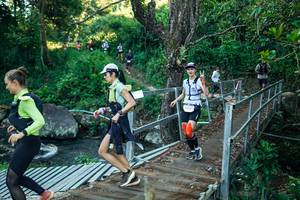 BIB: 
                            <button type="button" onclick="openModal(26639526)" class="btn btn-primary btn-sm float-right btn-popup" data-toggle="modal" data-target=".modal-high-quality">
                        <i class="fas fa-shopping-cart"></i> Add to Cart
                    </button>
                                            <button type="button" onclick="isThisMe(26639526, true)" class="btn btn-success btn-sm float-right btn-popup btn-isme hidden" data-toggle="tooltip" data-placement="bottom" title="นี่คือรูปของคุณใช่ไหม คลิกที่นี่เพื่อเอาเข้าอัลบั้ม">
                        <i class="fas fa-plus"></i> Add to album
                    </button>
                    <button type="button" onclick="isThisMe(26639526, false)" class="btn btn-warning btn-sm float-right btn-popup btn-isnotme hidden">
                        <i class="fas fa-ban"></i> Remove from album
                    </button>