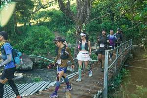 BIB: 
                            <button type="button" onclick="openModal(26677558)" class="btn btn-primary btn-sm float-right btn-popup" data-toggle="modal" data-target=".modal-high-quality">
                        <i class="fas fa-shopping-cart"></i> Add to Cart
                    </button>
                                            <button type="button" onclick="isThisMe(26677558, true)" class="btn btn-success btn-sm float-right btn-popup btn-isme hidden" data-toggle="tooltip" data-placement="bottom" title="นี่คือรูปของคุณใช่ไหม คลิกที่นี่เพื่อเอาเข้าอัลบั้ม">
                        <i class="fas fa-plus"></i> Add to album
                    </button>
                    <button type="button" onclick="isThisMe(26677558, false)" class="btn btn-warning btn-sm float-right btn-popup btn-isnotme hidden">
                        <i class="fas fa-ban"></i> Remove from album
                    </button>