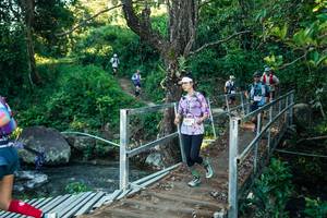 BIB: 
                            <button type="button" onclick="openModal(26627428)" class="btn btn-primary btn-sm float-right btn-popup" data-toggle="modal" data-target=".modal-high-quality">
                        <i class="fas fa-shopping-cart"></i> Add to Cart
                    </button>
                                            <button type="button" onclick="isThisMe(26627428, true)" class="btn btn-success btn-sm float-right btn-popup btn-isme hidden" data-toggle="tooltip" data-placement="bottom" title="นี่คือรูปของคุณใช่ไหม คลิกที่นี่เพื่อเอาเข้าอัลบั้ม">
                        <i class="fas fa-plus"></i> Add to album
                    </button>
                    <button type="button" onclick="isThisMe(26627428, false)" class="btn btn-warning btn-sm float-right btn-popup btn-isnotme hidden">
                        <i class="fas fa-ban"></i> Remove from album
                    </button>