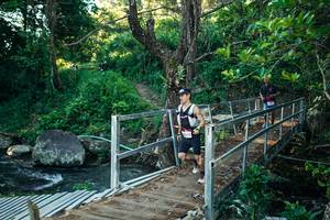 BIB: 
                            <button type="button" onclick="openModal(26619185)" class="btn btn-primary btn-sm float-right btn-popup" data-toggle="modal" data-target=".modal-high-quality">
                        <i class="fas fa-shopping-cart"></i> Add to Cart
                    </button>
                                            <button type="button" onclick="isThisMe(26619185, true)" class="btn btn-success btn-sm float-right btn-popup btn-isme hidden" data-toggle="tooltip" data-placement="bottom" title="นี่คือรูปของคุณใช่ไหม คลิกที่นี่เพื่อเอาเข้าอัลบั้ม">
                        <i class="fas fa-plus"></i> Add to album
                    </button>
                    <button type="button" onclick="isThisMe(26619185, false)" class="btn btn-warning btn-sm float-right btn-popup btn-isnotme hidden">
                        <i class="fas fa-ban"></i> Remove from album
                    </button>