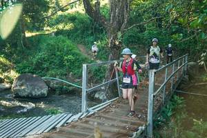 BIB: 
                            <button type="button" onclick="openModal(26677283)" class="btn btn-primary btn-sm float-right btn-popup" data-toggle="modal" data-target=".modal-high-quality">
                        <i class="fas fa-shopping-cart"></i> Add to Cart
                    </button>
                                            <button type="button" onclick="isThisMe(26677283, true)" class="btn btn-success btn-sm float-right btn-popup btn-isme hidden" data-toggle="tooltip" data-placement="bottom" title="นี่คือรูปของคุณใช่ไหม คลิกที่นี่เพื่อเอาเข้าอัลบั้ม">
                        <i class="fas fa-plus"></i> Add to album
                    </button>
                    <button type="button" onclick="isThisMe(26677283, false)" class="btn btn-warning btn-sm float-right btn-popup btn-isnotme hidden">
                        <i class="fas fa-ban"></i> Remove from album
                    </button>