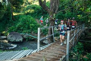 BIB: 
                            <button type="button" onclick="openModal(26643261)" class="btn btn-primary btn-sm float-right btn-popup" data-toggle="modal" data-target=".modal-high-quality">
                        <i class="fas fa-shopping-cart"></i> Add to Cart
                    </button>
                                            <button type="button" onclick="isThisMe(26643261, true)" class="btn btn-success btn-sm float-right btn-popup btn-isme hidden" data-toggle="tooltip" data-placement="bottom" title="นี่คือรูปของคุณใช่ไหม คลิกที่นี่เพื่อเอาเข้าอัลบั้ม">
                        <i class="fas fa-plus"></i> Add to album
                    </button>
                    <button type="button" onclick="isThisMe(26643261, false)" class="btn btn-warning btn-sm float-right btn-popup btn-isnotme hidden">
                        <i class="fas fa-ban"></i> Remove from album
                    </button>