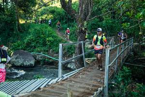 BIB: 
                            <button type="button" onclick="openModal(26642133)" class="btn btn-primary btn-sm float-right btn-popup" data-toggle="modal" data-target=".modal-high-quality">
                        <i class="fas fa-shopping-cart"></i> Add to Cart
                    </button>
                                            <button type="button" onclick="isThisMe(26642133, true)" class="btn btn-success btn-sm float-right btn-popup btn-isme hidden" data-toggle="tooltip" data-placement="bottom" title="นี่คือรูปของคุณใช่ไหม คลิกที่นี่เพื่อเอาเข้าอัลบั้ม">
                        <i class="fas fa-plus"></i> Add to album
                    </button>
                    <button type="button" onclick="isThisMe(26642133, false)" class="btn btn-warning btn-sm float-right btn-popup btn-isnotme hidden">
                        <i class="fas fa-ban"></i> Remove from album
                    </button>