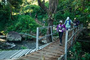 BIB: 
                            <button type="button" onclick="openModal(26649228)" class="btn btn-primary btn-sm float-right btn-popup" data-toggle="modal" data-target=".modal-high-quality">
                        <i class="fas fa-shopping-cart"></i> Add to Cart
                    </button>
                                            <button type="button" onclick="isThisMe(26649228, true)" class="btn btn-success btn-sm float-right btn-popup btn-isme hidden" data-toggle="tooltip" data-placement="bottom" title="นี่คือรูปของคุณใช่ไหม คลิกที่นี่เพื่อเอาเข้าอัลบั้ม">
                        <i class="fas fa-plus"></i> Add to album
                    </button>
                    <button type="button" onclick="isThisMe(26649228, false)" class="btn btn-warning btn-sm float-right btn-popup btn-isnotme hidden">
                        <i class="fas fa-ban"></i> Remove from album
                    </button>