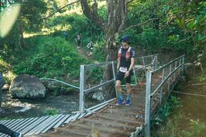 BIB: 
                            <button type="button" onclick="openModal(26677645)" class="btn btn-primary btn-sm float-right btn-popup" data-toggle="modal" data-target=".modal-high-quality">
                        <i class="fas fa-shopping-cart"></i> Add to Cart
                    </button>
                                            <button type="button" onclick="isThisMe(26677645, true)" class="btn btn-success btn-sm float-right btn-popup btn-isme hidden" data-toggle="tooltip" data-placement="bottom" title="นี่คือรูปของคุณใช่ไหม คลิกที่นี่เพื่อเอาเข้าอัลบั้ม">
                        <i class="fas fa-plus"></i> Add to album
                    </button>
                    <button type="button" onclick="isThisMe(26677645, false)" class="btn btn-warning btn-sm float-right btn-popup btn-isnotme hidden">
                        <i class="fas fa-ban"></i> Remove from album
                    </button>