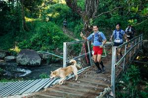 BIB: 
                            <button type="button" onclick="openModal(26625532)" class="btn btn-primary btn-sm float-right btn-popup" data-toggle="modal" data-target=".modal-high-quality">
                        <i class="fas fa-shopping-cart"></i> Add to Cart
                    </button>
                                            <button type="button" onclick="isThisMe(26625532, true)" class="btn btn-success btn-sm float-right btn-popup btn-isme hidden" data-toggle="tooltip" data-placement="bottom" title="นี่คือรูปของคุณใช่ไหม คลิกที่นี่เพื่อเอาเข้าอัลบั้ม">
                        <i class="fas fa-plus"></i> Add to album
                    </button>
                    <button type="button" onclick="isThisMe(26625532, false)" class="btn btn-warning btn-sm float-right btn-popup btn-isnotme hidden">
                        <i class="fas fa-ban"></i> Remove from album
                    </button>