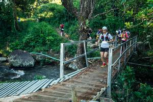 BIB: 
                            <button type="button" onclick="openModal(26634358)" class="btn btn-primary btn-sm float-right btn-popup" data-toggle="modal" data-target=".modal-high-quality">
                        <i class="fas fa-shopping-cart"></i> Add to Cart
                    </button>
                                            <button type="button" onclick="isThisMe(26634358, true)" class="btn btn-success btn-sm float-right btn-popup btn-isme hidden" data-toggle="tooltip" data-placement="bottom" title="นี่คือรูปของคุณใช่ไหม คลิกที่นี่เพื่อเอาเข้าอัลบั้ม">
                        <i class="fas fa-plus"></i> Add to album
                    </button>
                    <button type="button" onclick="isThisMe(26634358, false)" class="btn btn-warning btn-sm float-right btn-popup btn-isnotme hidden">
                        <i class="fas fa-ban"></i> Remove from album
                    </button>