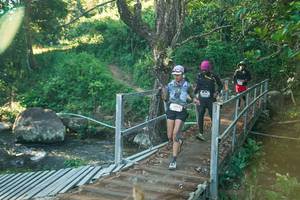 BIB: 
                            <button type="button" onclick="openModal(26676472)" class="btn btn-primary btn-sm float-right btn-popup" data-toggle="modal" data-target=".modal-high-quality">
                        <i class="fas fa-shopping-cart"></i> Add to Cart
                    </button>
                                            <button type="button" onclick="isThisMe(26676472, true)" class="btn btn-success btn-sm float-right btn-popup btn-isme hidden" data-toggle="tooltip" data-placement="bottom" title="นี่คือรูปของคุณใช่ไหม คลิกที่นี่เพื่อเอาเข้าอัลบั้ม">
                        <i class="fas fa-plus"></i> Add to album
                    </button>
                    <button type="button" onclick="isThisMe(26676472, false)" class="btn btn-warning btn-sm float-right btn-popup btn-isnotme hidden">
                        <i class="fas fa-ban"></i> Remove from album
                    </button>