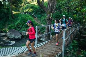 BIB: 
                            <button type="button" onclick="openModal(26641200)" class="btn btn-primary btn-sm float-right btn-popup" data-toggle="modal" data-target=".modal-high-quality">
                        <i class="fas fa-shopping-cart"></i> Add to Cart
                    </button>
                                            <button type="button" onclick="isThisMe(26641200, true)" class="btn btn-success btn-sm float-right btn-popup btn-isme hidden" data-toggle="tooltip" data-placement="bottom" title="นี่คือรูปของคุณใช่ไหม คลิกที่นี่เพื่อเอาเข้าอัลบั้ม">
                        <i class="fas fa-plus"></i> Add to album
                    </button>
                    <button type="button" onclick="isThisMe(26641200, false)" class="btn btn-warning btn-sm float-right btn-popup btn-isnotme hidden">
                        <i class="fas fa-ban"></i> Remove from album
                    </button>