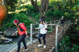 BIB: 
                            <button type="button" onclick="openModal(26679144)" class="btn btn-primary btn-sm float-right btn-popup" data-toggle="modal" data-target=".modal-high-quality">
                        <i class="fas fa-shopping-cart"></i> Add to Cart
                    </button>
                                            <button type="button" onclick="isThisMe(26679144, true)" class="btn btn-success btn-sm float-right btn-popup btn-isme hidden" data-toggle="tooltip" data-placement="bottom" title="นี่คือรูปของคุณใช่ไหม คลิกที่นี่เพื่อเอาเข้าอัลบั้ม">
                        <i class="fas fa-plus"></i> Add to album
                    </button>
                    <button type="button" onclick="isThisMe(26679144, false)" class="btn btn-warning btn-sm float-right btn-popup btn-isnotme hidden">
                        <i class="fas fa-ban"></i> Remove from album
                    </button>