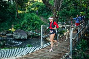 BIB: 
                            <button type="button" onclick="openModal(26625465)" class="btn btn-primary btn-sm float-right btn-popup" data-toggle="modal" data-target=".modal-high-quality">
                        <i class="fas fa-shopping-cart"></i> Add to Cart
                    </button>
                                            <button type="button" onclick="isThisMe(26625465, true)" class="btn btn-success btn-sm float-right btn-popup btn-isme hidden" data-toggle="tooltip" data-placement="bottom" title="นี่คือรูปของคุณใช่ไหม คลิกที่นี่เพื่อเอาเข้าอัลบั้ม">
                        <i class="fas fa-plus"></i> Add to album
                    </button>
                    <button type="button" onclick="isThisMe(26625465, false)" class="btn btn-warning btn-sm float-right btn-popup btn-isnotme hidden">
                        <i class="fas fa-ban"></i> Remove from album
                    </button>