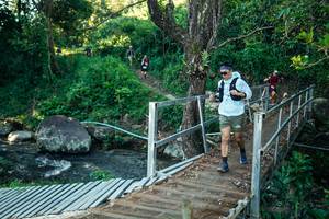 BIB: 
                            <button type="button" onclick="openModal(26634987)" class="btn btn-primary btn-sm float-right btn-popup" data-toggle="modal" data-target=".modal-high-quality">
                        <i class="fas fa-shopping-cart"></i> Add to Cart
                    </button>
                                            <button type="button" onclick="isThisMe(26634987, true)" class="btn btn-success btn-sm float-right btn-popup btn-isme hidden" data-toggle="tooltip" data-placement="bottom" title="นี่คือรูปของคุณใช่ไหม คลิกที่นี่เพื่อเอาเข้าอัลบั้ม">
                        <i class="fas fa-plus"></i> Add to album
                    </button>
                    <button type="button" onclick="isThisMe(26634987, false)" class="btn btn-warning btn-sm float-right btn-popup btn-isnotme hidden">
                        <i class="fas fa-ban"></i> Remove from album
                    </button>