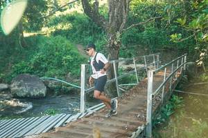 BIB: 
                            <button type="button" onclick="openModal(26679065)" class="btn btn-primary btn-sm float-right btn-popup" data-toggle="modal" data-target=".modal-high-quality">
                        <i class="fas fa-shopping-cart"></i> Add to Cart
                    </button>
                                            <button type="button" onclick="isThisMe(26679065, true)" class="btn btn-success btn-sm float-right btn-popup btn-isme hidden" data-toggle="tooltip" data-placement="bottom" title="นี่คือรูปของคุณใช่ไหม คลิกที่นี่เพื่อเอาเข้าอัลบั้ม">
                        <i class="fas fa-plus"></i> Add to album
                    </button>
                    <button type="button" onclick="isThisMe(26679065, false)" class="btn btn-warning btn-sm float-right btn-popup btn-isnotme hidden">
                        <i class="fas fa-ban"></i> Remove from album
                    </button>