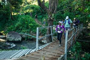 BIB: 
                            <button type="button" onclick="openModal(26649286)" class="btn btn-primary btn-sm float-right btn-popup" data-toggle="modal" data-target=".modal-high-quality">
                        <i class="fas fa-shopping-cart"></i> Add to Cart
                    </button>
                                            <button type="button" onclick="isThisMe(26649286, true)" class="btn btn-success btn-sm float-right btn-popup btn-isme hidden" data-toggle="tooltip" data-placement="bottom" title="นี่คือรูปของคุณใช่ไหม คลิกที่นี่เพื่อเอาเข้าอัลบั้ม">
                        <i class="fas fa-plus"></i> Add to album
                    </button>
                    <button type="button" onclick="isThisMe(26649286, false)" class="btn btn-warning btn-sm float-right btn-popup btn-isnotme hidden">
                        <i class="fas fa-ban"></i> Remove from album
                    </button>