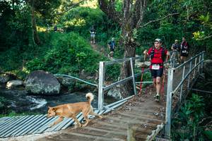 BIB: 
                            <button type="button" onclick="openModal(26635047)" class="btn btn-primary btn-sm float-right btn-popup" data-toggle="modal" data-target=".modal-high-quality">
                        <i class="fas fa-shopping-cart"></i> Add to Cart
                    </button>
                                            <button type="button" onclick="isThisMe(26635047, true)" class="btn btn-success btn-sm float-right btn-popup btn-isme hidden" data-toggle="tooltip" data-placement="bottom" title="นี่คือรูปของคุณใช่ไหม คลิกที่นี่เพื่อเอาเข้าอัลบั้ม">
                        <i class="fas fa-plus"></i> Add to album
                    </button>
                    <button type="button" onclick="isThisMe(26635047, false)" class="btn btn-warning btn-sm float-right btn-popup btn-isnotme hidden">
                        <i class="fas fa-ban"></i> Remove from album
                    </button>