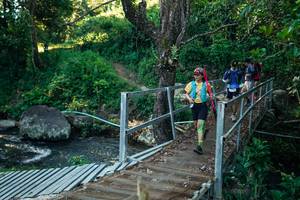 BIB: 
                            <button type="button" onclick="openModal(26658269)" class="btn btn-primary btn-sm float-right btn-popup" data-toggle="modal" data-target=".modal-high-quality">
                        <i class="fas fa-shopping-cart"></i> Add to Cart
                    </button>
                                            <button type="button" onclick="isThisMe(26658269, true)" class="btn btn-success btn-sm float-right btn-popup btn-isme hidden" data-toggle="tooltip" data-placement="bottom" title="นี่คือรูปของคุณใช่ไหม คลิกที่นี่เพื่อเอาเข้าอัลบั้ม">
                        <i class="fas fa-plus"></i> Add to album
                    </button>
                    <button type="button" onclick="isThisMe(26658269, false)" class="btn btn-warning btn-sm float-right btn-popup btn-isnotme hidden">
                        <i class="fas fa-ban"></i> Remove from album
                    </button>