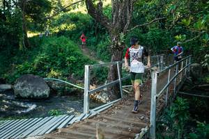 BIB: 
                            <button type="button" onclick="openModal(26659499)" class="btn btn-primary btn-sm float-right btn-popup" data-toggle="modal" data-target=".modal-high-quality">
                        <i class="fas fa-shopping-cart"></i> Add to Cart
                    </button>
                                            <button type="button" onclick="isThisMe(26659499, true)" class="btn btn-success btn-sm float-right btn-popup btn-isme hidden" data-toggle="tooltip" data-placement="bottom" title="นี่คือรูปของคุณใช่ไหม คลิกที่นี่เพื่อเอาเข้าอัลบั้ม">
                        <i class="fas fa-plus"></i> Add to album
                    </button>
                    <button type="button" onclick="isThisMe(26659499, false)" class="btn btn-warning btn-sm float-right btn-popup btn-isnotme hidden">
                        <i class="fas fa-ban"></i> Remove from album
                    </button>