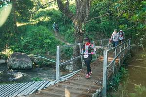 BIB: 
                            <button type="button" onclick="openModal(26674885)" class="btn btn-primary btn-sm float-right btn-popup" data-toggle="modal" data-target=".modal-high-quality">
                        <i class="fas fa-shopping-cart"></i> Add to Cart
                    </button>
                                            <button type="button" onclick="isThisMe(26674885, true)" class="btn btn-success btn-sm float-right btn-popup btn-isme hidden" data-toggle="tooltip" data-placement="bottom" title="นี่คือรูปของคุณใช่ไหม คลิกที่นี่เพื่อเอาเข้าอัลบั้ม">
                        <i class="fas fa-plus"></i> Add to album
                    </button>
                    <button type="button" onclick="isThisMe(26674885, false)" class="btn btn-warning btn-sm float-right btn-popup btn-isnotme hidden">
                        <i class="fas fa-ban"></i> Remove from album
                    </button>