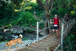 BIB: 
                            <button type="button" onclick="openModal(26635079)" class="btn btn-primary btn-sm float-right btn-popup" data-toggle="modal" data-target=".modal-high-quality">
                        <i class="fas fa-shopping-cart"></i> Add to Cart
                    </button>
                                            <button type="button" onclick="isThisMe(26635079, true)" class="btn btn-success btn-sm float-right btn-popup btn-isme hidden" data-toggle="tooltip" data-placement="bottom" title="นี่คือรูปของคุณใช่ไหม คลิกที่นี่เพื่อเอาเข้าอัลบั้ม">
                        <i class="fas fa-plus"></i> Add to album
                    </button>
                    <button type="button" onclick="isThisMe(26635079, false)" class="btn btn-warning btn-sm float-right btn-popup btn-isnotme hidden">
                        <i class="fas fa-ban"></i> Remove from album
                    </button>