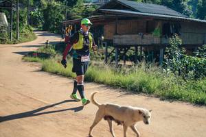 BIB: 
                            <button type="button" onclick="openModal(26738045)" class="btn btn-primary btn-sm float-right btn-popup" data-toggle="modal" data-target=".modal-high-quality">
                        <i class="fas fa-shopping-cart"></i> Add to Cart
                    </button>
                                            <button type="button" onclick="isThisMe(26738045, true)" class="btn btn-success btn-sm float-right btn-popup btn-isme hidden" data-toggle="tooltip" data-placement="bottom" title="นี่คือรูปของคุณใช่ไหม คลิกที่นี่เพื่อเอาเข้าอัลบั้ม">
                        <i class="fas fa-plus"></i> Add to album
                    </button>
                    <button type="button" onclick="isThisMe(26738045, false)" class="btn btn-warning btn-sm float-right btn-popup btn-isnotme hidden">
                        <i class="fas fa-ban"></i> Remove from album
                    </button>