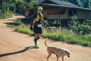 BIB: 
                            <button type="button" onclick="openModal(26738048)" class="btn btn-primary btn-sm float-right btn-popup" data-toggle="modal" data-target=".modal-high-quality">
                        <i class="fas fa-shopping-cart"></i> Add to Cart
                    </button>
                                            <button type="button" onclick="isThisMe(26738048, true)" class="btn btn-success btn-sm float-right btn-popup btn-isme hidden" data-toggle="tooltip" data-placement="bottom" title="นี่คือรูปของคุณใช่ไหม คลิกที่นี่เพื่อเอาเข้าอัลบั้ม">
                        <i class="fas fa-plus"></i> Add to album
                    </button>
                    <button type="button" onclick="isThisMe(26738048, false)" class="btn btn-warning btn-sm float-right btn-popup btn-isnotme hidden">
                        <i class="fas fa-ban"></i> Remove from album
                    </button>