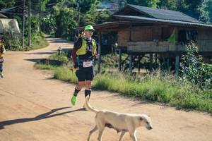 BIB: 
                            <button type="button" onclick="openModal(26738044)" class="btn btn-primary btn-sm float-right btn-popup" data-toggle="modal" data-target=".modal-high-quality">
                        <i class="fas fa-shopping-cart"></i> Add to Cart
                    </button>
                                            <button type="button" onclick="isThisMe(26738044, true)" class="btn btn-success btn-sm float-right btn-popup btn-isme hidden" data-toggle="tooltip" data-placement="bottom" title="นี่คือรูปของคุณใช่ไหม คลิกที่นี่เพื่อเอาเข้าอัลบั้ม">
                        <i class="fas fa-plus"></i> Add to album
                    </button>
                    <button type="button" onclick="isThisMe(26738044, false)" class="btn btn-warning btn-sm float-right btn-popup btn-isnotme hidden">
                        <i class="fas fa-ban"></i> Remove from album
                    </button>