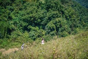 BIB: 
                            <button type="button" onclick="openModal(26677351)" class="btn btn-primary btn-sm float-right btn-popup" data-toggle="modal" data-target=".modal-high-quality">
                        <i class="fas fa-shopping-cart"></i> Add to Cart
                    </button>
                                            <button type="button" onclick="isThisMe(26677351, true)" class="btn btn-success btn-sm float-right btn-popup btn-isme hidden" data-toggle="tooltip" data-placement="bottom" title="นี่คือรูปของคุณใช่ไหม คลิกที่นี่เพื่อเอาเข้าอัลบั้ม">
                        <i class="fas fa-plus"></i> Add to album
                    </button>
                    <button type="button" onclick="isThisMe(26677351, false)" class="btn btn-warning btn-sm float-right btn-popup btn-isnotme hidden">
                        <i class="fas fa-ban"></i> Remove from album
                    </button>