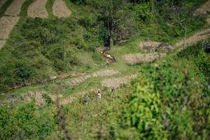 BIB: 
                            <button type="button" onclick="openModal(26677039)" class="btn btn-primary btn-sm float-right btn-popup" data-toggle="modal" data-target=".modal-high-quality">
                        <i class="fas fa-shopping-cart"></i> Add to Cart
                    </button>
                                            <button type="button" onclick="isThisMe(26677039, true)" class="btn btn-success btn-sm float-right btn-popup btn-isme hidden" data-toggle="tooltip" data-placement="bottom" title="นี่คือรูปของคุณใช่ไหม คลิกที่นี่เพื่อเอาเข้าอัลบั้ม">
                        <i class="fas fa-plus"></i> Add to album
                    </button>
                    <button type="button" onclick="isThisMe(26677039, false)" class="btn btn-warning btn-sm float-right btn-popup btn-isnotme hidden">
                        <i class="fas fa-ban"></i> Remove from album
                    </button>