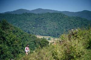 BIB: 
                            <button type="button" onclick="openModal(26677485)" class="btn btn-primary btn-sm float-right btn-popup" data-toggle="modal" data-target=".modal-high-quality">
                        <i class="fas fa-shopping-cart"></i> Add to Cart
                    </button>
                                            <button type="button" onclick="isThisMe(26677485, true)" class="btn btn-success btn-sm float-right btn-popup btn-isme hidden" data-toggle="tooltip" data-placement="bottom" title="นี่คือรูปของคุณใช่ไหม คลิกที่นี่เพื่อเอาเข้าอัลบั้ม">
                        <i class="fas fa-plus"></i> Add to album
                    </button>
                    <button type="button" onclick="isThisMe(26677485, false)" class="btn btn-warning btn-sm float-right btn-popup btn-isnotme hidden">
                        <i class="fas fa-ban"></i> Remove from album
                    </button>