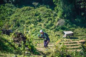 BIB: 
                            <button type="button" onclick="openModal(26676559)" class="btn btn-primary btn-sm float-right btn-popup" data-toggle="modal" data-target=".modal-high-quality">
                        <i class="fas fa-shopping-cart"></i> Add to Cart
                    </button>
                                            <button type="button" onclick="isThisMe(26676559, true)" class="btn btn-success btn-sm float-right btn-popup btn-isme hidden" data-toggle="tooltip" data-placement="bottom" title="นี่คือรูปของคุณใช่ไหม คลิกที่นี่เพื่อเอาเข้าอัลบั้ม">
                        <i class="fas fa-plus"></i> Add to album
                    </button>
                    <button type="button" onclick="isThisMe(26676559, false)" class="btn btn-warning btn-sm float-right btn-popup btn-isnotme hidden">
                        <i class="fas fa-ban"></i> Remove from album
                    </button>