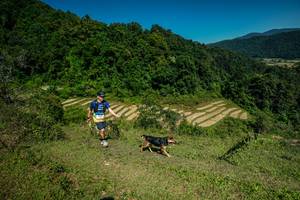 BIB: 
                            <button type="button" onclick="openModal(26656787)" class="btn btn-primary btn-sm float-right btn-popup" data-toggle="modal" data-target=".modal-high-quality">
                        <i class="fas fa-shopping-cart"></i> Add to Cart
                    </button>
                                            <button type="button" onclick="isThisMe(26656787, true)" class="btn btn-success btn-sm float-right btn-popup btn-isme hidden" data-toggle="tooltip" data-placement="bottom" title="นี่คือรูปของคุณใช่ไหม คลิกที่นี่เพื่อเอาเข้าอัลบั้ม">
                        <i class="fas fa-plus"></i> Add to album
                    </button>
                    <button type="button" onclick="isThisMe(26656787, false)" class="btn btn-warning btn-sm float-right btn-popup btn-isnotme hidden">
                        <i class="fas fa-ban"></i> Remove from album
                    </button>