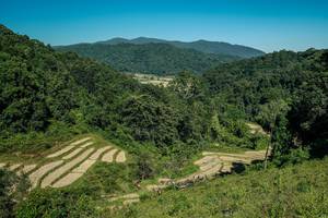 BIB: 
                            <button type="button" onclick="openModal(26689668)" class="btn btn-primary btn-sm float-right btn-popup" data-toggle="modal" data-target=".modal-high-quality">
                        <i class="fas fa-shopping-cart"></i> Add to Cart
                    </button>
                                            <button type="button" onclick="isThisMe(26689668, true)" class="btn btn-success btn-sm float-right btn-popup btn-isme hidden" data-toggle="tooltip" data-placement="bottom" title="นี่คือรูปของคุณใช่ไหม คลิกที่นี่เพื่อเอาเข้าอัลบั้ม">
                        <i class="fas fa-plus"></i> Add to album
                    </button>
                    <button type="button" onclick="isThisMe(26689668, false)" class="btn btn-warning btn-sm float-right btn-popup btn-isnotme hidden">
                        <i class="fas fa-ban"></i> Remove from album
                    </button>