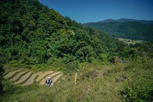 BIB: 
                            <button type="button" onclick="openModal(26675616)" class="btn btn-primary btn-sm float-right btn-popup" data-toggle="modal" data-target=".modal-high-quality">
                        <i class="fas fa-shopping-cart"></i> Add to Cart
                    </button>
                                            <button type="button" onclick="isThisMe(26675616, true)" class="btn btn-success btn-sm float-right btn-popup btn-isme hidden" data-toggle="tooltip" data-placement="bottom" title="นี่คือรูปของคุณใช่ไหม คลิกที่นี่เพื่อเอาเข้าอัลบั้ม">
                        <i class="fas fa-plus"></i> Add to album
                    </button>
                    <button type="button" onclick="isThisMe(26675616, false)" class="btn btn-warning btn-sm float-right btn-popup btn-isnotme hidden">
                        <i class="fas fa-ban"></i> Remove from album
                    </button>