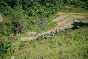 BIB: 
                            <button type="button" onclick="openModal(26676741)" class="btn btn-primary btn-sm float-right btn-popup" data-toggle="modal" data-target=".modal-high-quality">
                        <i class="fas fa-shopping-cart"></i> Add to Cart
                    </button>
                                            <button type="button" onclick="isThisMe(26676741, true)" class="btn btn-success btn-sm float-right btn-popup btn-isme hidden" data-toggle="tooltip" data-placement="bottom" title="นี่คือรูปของคุณใช่ไหม คลิกที่นี่เพื่อเอาเข้าอัลบั้ม">
                        <i class="fas fa-plus"></i> Add to album
                    </button>
                    <button type="button" onclick="isThisMe(26676741, false)" class="btn btn-warning btn-sm float-right btn-popup btn-isnotme hidden">
                        <i class="fas fa-ban"></i> Remove from album
                    </button>