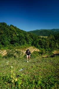 BIB: 
                            <button type="button" onclick="openModal(26597369)" class="btn btn-primary btn-sm float-right btn-popup" data-toggle="modal" data-target=".modal-high-quality">
                        <i class="fas fa-shopping-cart"></i> Add to Cart
                    </button>
                                            <button type="button" onclick="isThisMe(26597369, true)" class="btn btn-success btn-sm float-right btn-popup btn-isme hidden" data-toggle="tooltip" data-placement="bottom" title="นี่คือรูปของคุณใช่ไหม คลิกที่นี่เพื่อเอาเข้าอัลบั้ม">
                        <i class="fas fa-plus"></i> Add to album
                    </button>
                    <button type="button" onclick="isThisMe(26597369, false)" class="btn btn-warning btn-sm float-right btn-popup btn-isnotme hidden">
                        <i class="fas fa-ban"></i> Remove from album
                    </button>