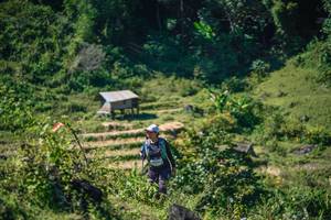 BIB: 
                            <button type="button" onclick="openModal(26676397)" class="btn btn-primary btn-sm float-right btn-popup" data-toggle="modal" data-target=".modal-high-quality">
                        <i class="fas fa-shopping-cart"></i> Add to Cart
                    </button>
                                            <button type="button" onclick="isThisMe(26676397, true)" class="btn btn-success btn-sm float-right btn-popup btn-isme hidden" data-toggle="tooltip" data-placement="bottom" title="นี่คือรูปของคุณใช่ไหม คลิกที่นี่เพื่อเอาเข้าอัลบั้ม">
                        <i class="fas fa-plus"></i> Add to album
                    </button>
                    <button type="button" onclick="isThisMe(26676397, false)" class="btn btn-warning btn-sm float-right btn-popup btn-isnotme hidden">
                        <i class="fas fa-ban"></i> Remove from album
                    </button>